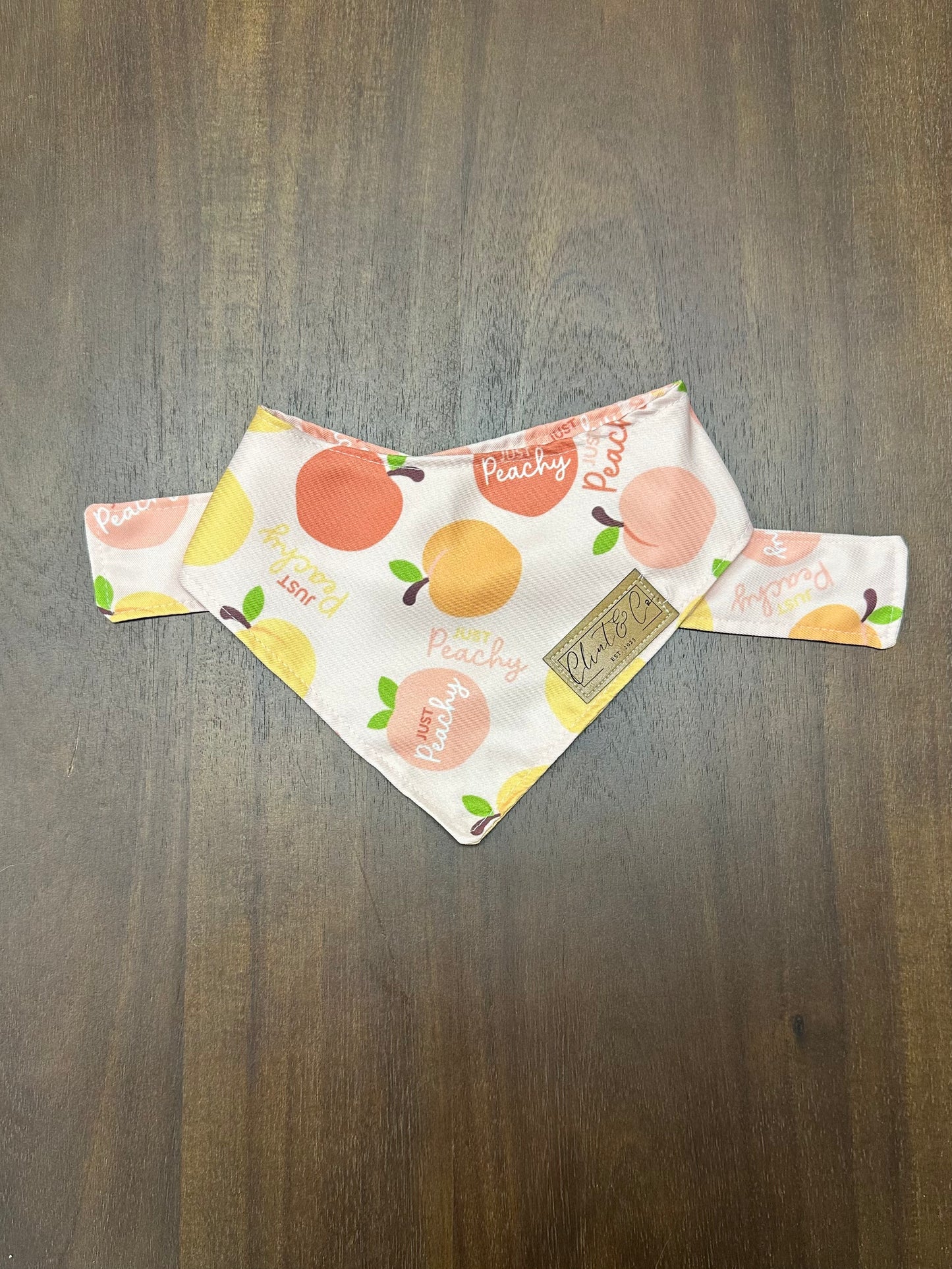 Just Peachy Dog Bandana