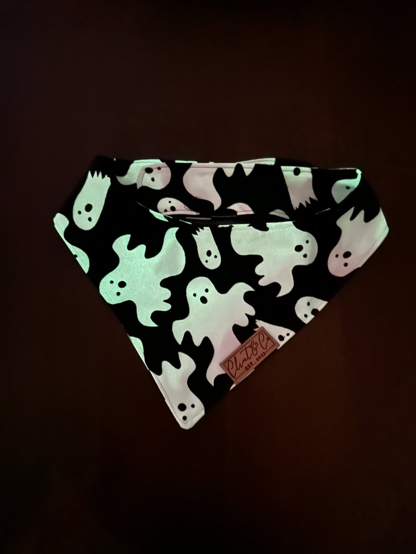 Ghosts (Glows in the Dark) - Clint & Co Leather Patch