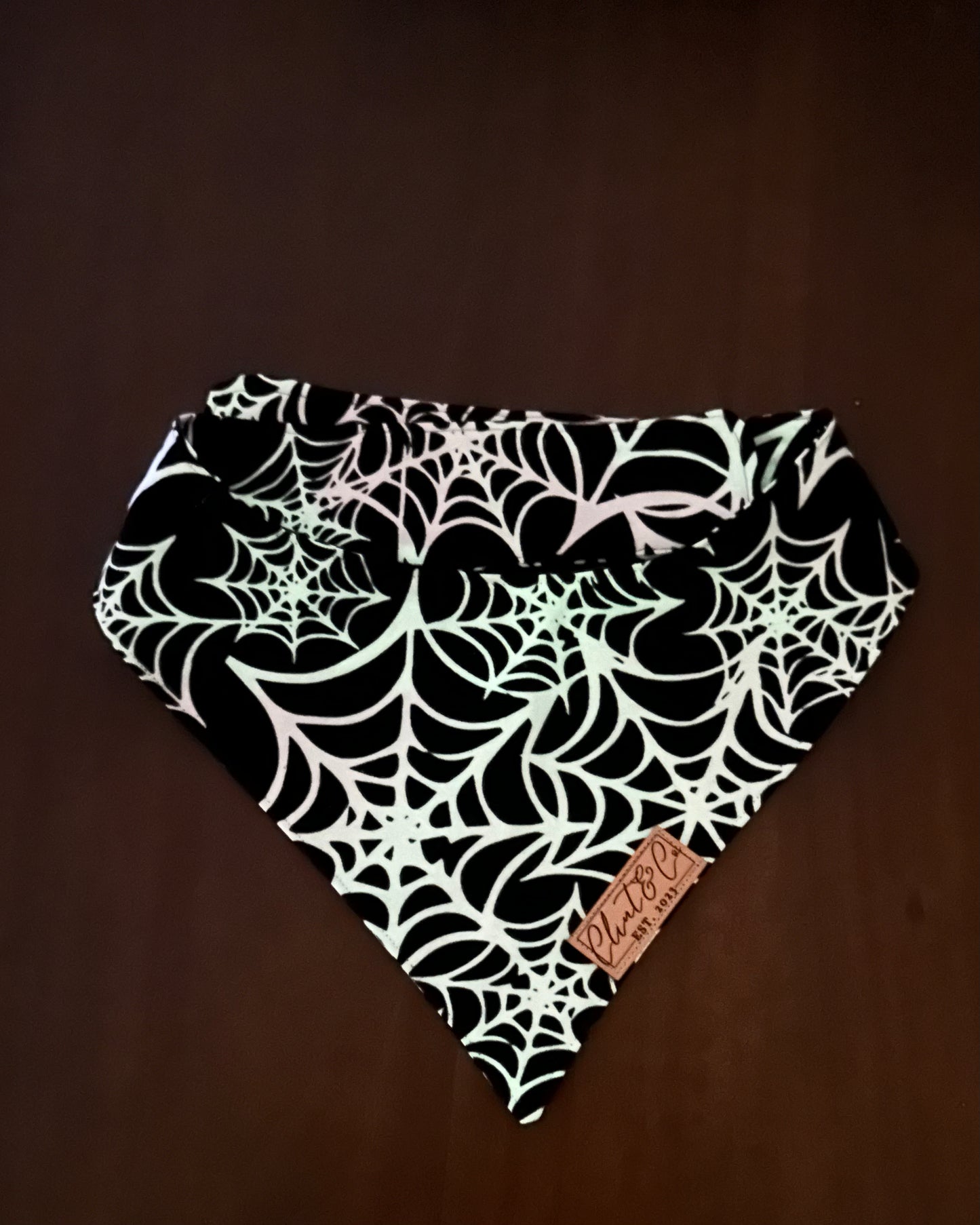 Spider Web (Glows in the Dark) - Clint & Co Leather Patch