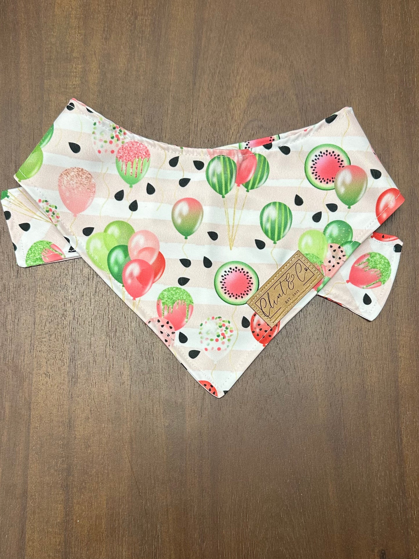 Watermelon Balloon Dog Bandana