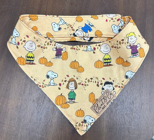Peanuts Fall / Halloween  - Clint & Co Leather Patch