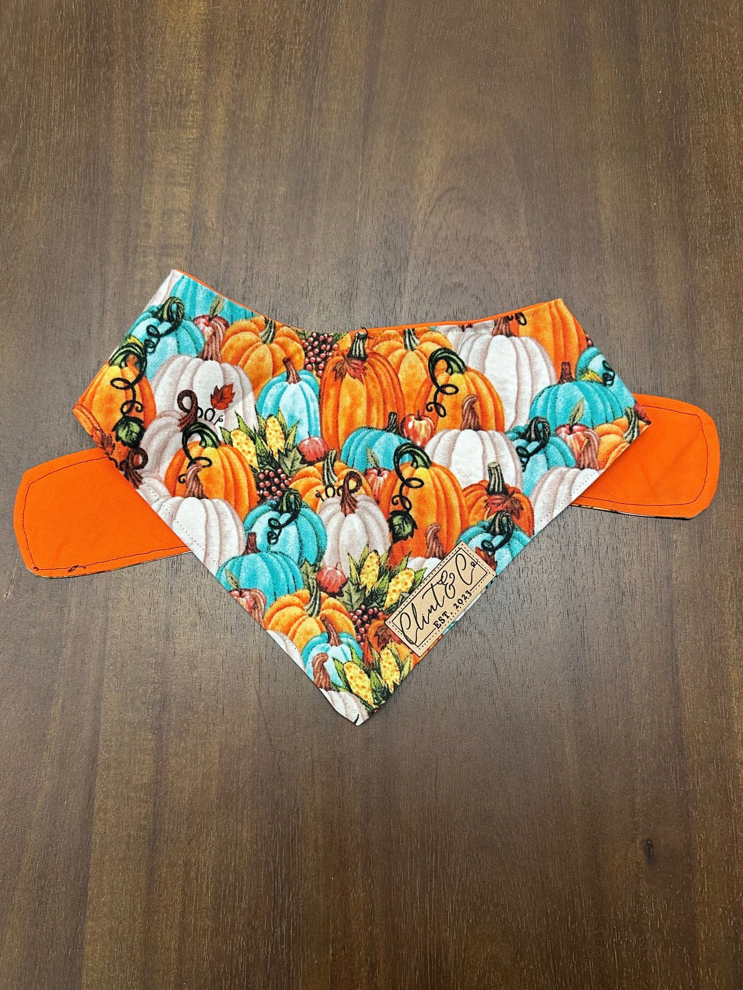 Fall Pumpkins Bandana