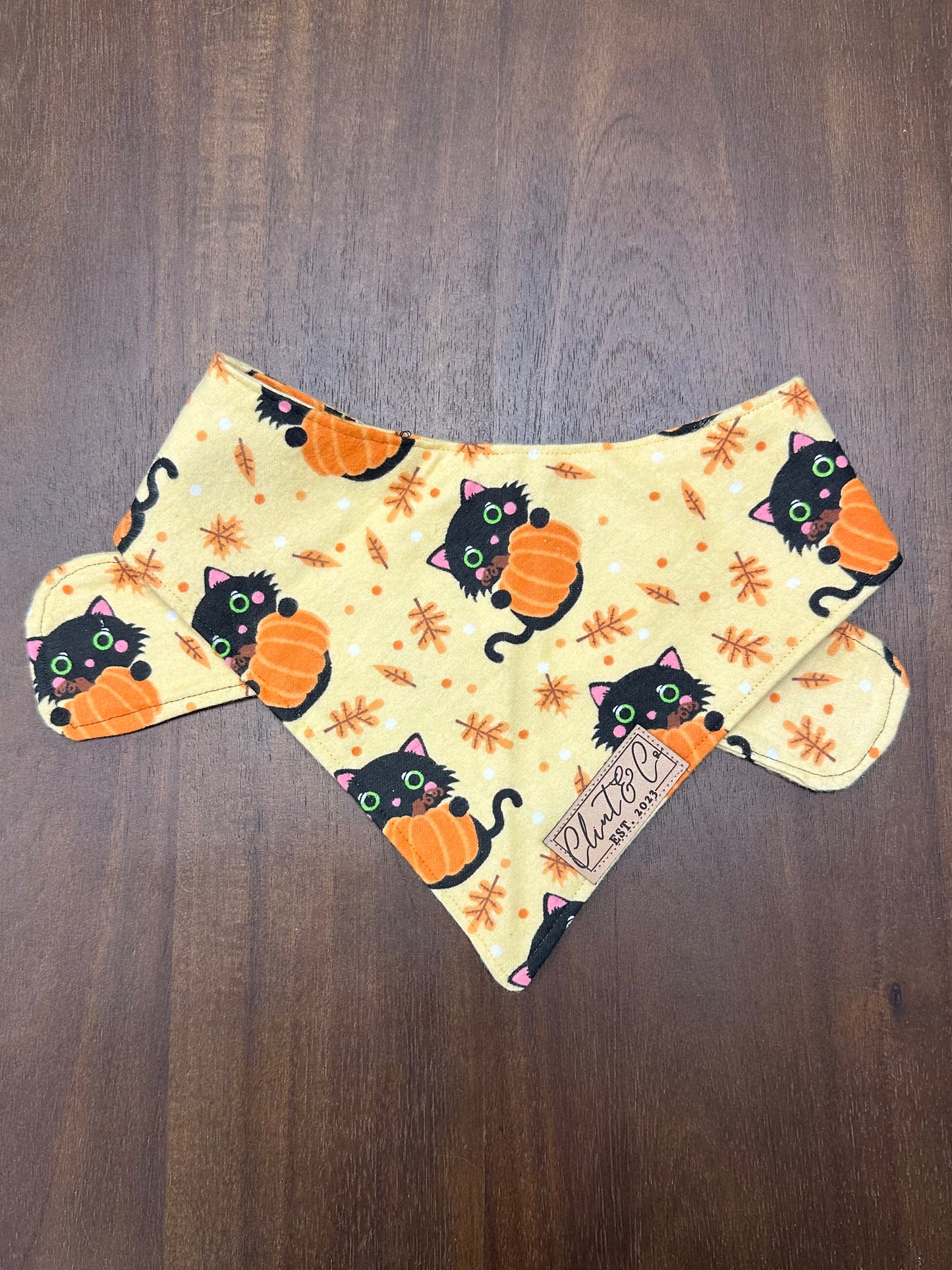 Black Cat Bandana