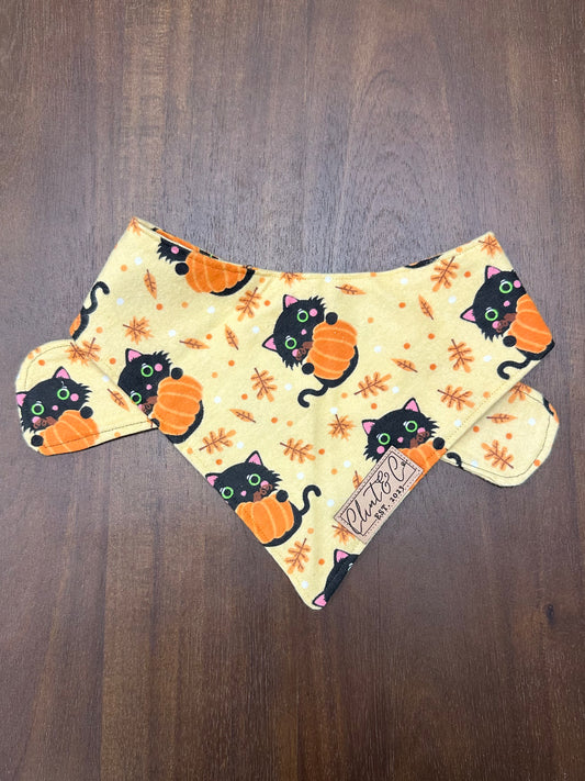 Black Cat Bandana