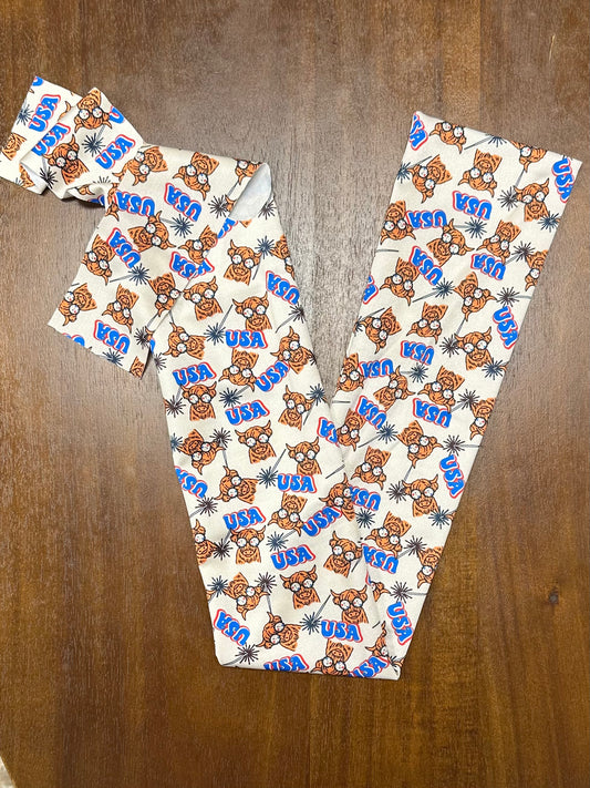 Highlander USA Tail Bag