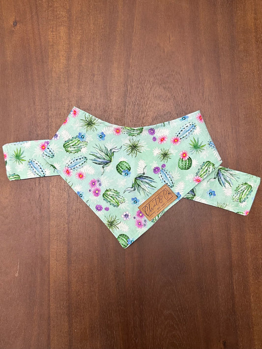 Succulent Dog Bandana